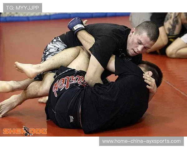 UFC选手加强地面控制力训练